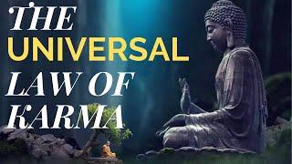 The  Universal Law of Karma | #law #karma #buddha #buddhism #roarmotivation