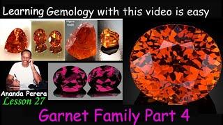 L 27 E | Garnet Family Part 4 | Captivating World of the Garnet Family | Beautiful Colors of Garnets