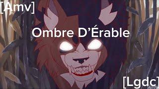 [Amv] Ombre D’Érable-Darkside [Lgdc]