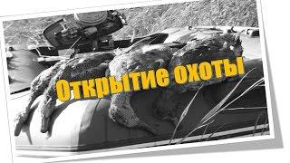Осенняя охота 2016. Точные выстрелы, досадные промахи и долгожданные трофеи.Утро