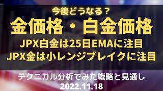 【金価格・白金価格】今後どうなる？ JPX白金は25日EMAに注目 JPX金は小レンジブレイクに注目　テクニカル分析でみた見通しと戦略 11月18日（金）