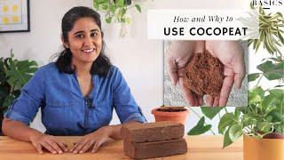 How to use Cocopeat the right way for Plants? | Ep.9 Garden Up Basics