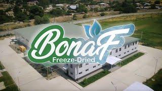 BONAF™ - Freeze-dried products