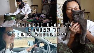 Weekend Vlog #6 我们搬去洛杉矶了?!｜Nimi猫宝贝的第一次长途旅行｜WFH真香｜Working From Los Angeles!