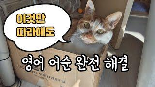 원어민 되는 마법의 문장 늘리기/빡센 어순 훈련 #239