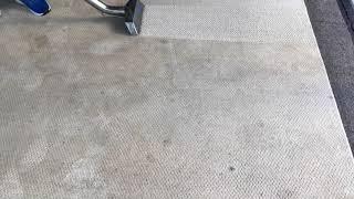 Area Rug Cleaning in Ocala, FL