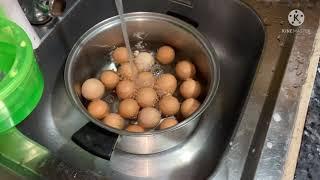 V41 My 2nd Batch of Chicken Eggs Did Not Hatch + Cavite Farm Updates