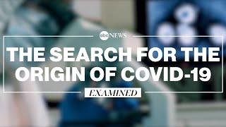 The source of COVID-19: What we know l ABC News