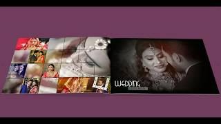 picasso dg photo album designing software ready to use wedding template sample