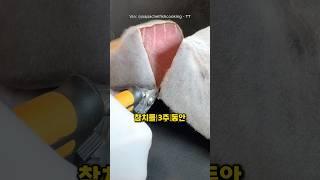 ”극강의 감칠맛“ 곰팡이 사시미