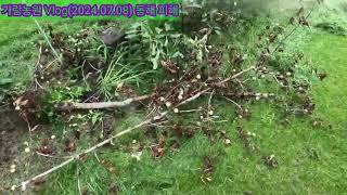 사과나무 동해 피해(거창 가람 농원)