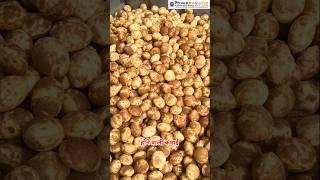 Panipuri Machine | Panipuri Cart | Panipuri Filling Machine | Golgappa Machine#shortsfeed #shorts