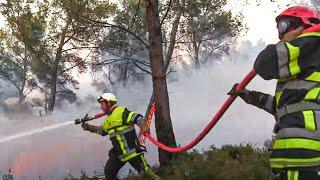 Firefighters against pyromaniacs