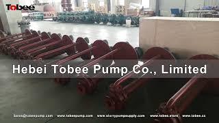 Tobee® SP/SPR Vertical Slurry Pump