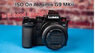 Lumix g9mkii vs Full Frame cameras what's the best choice for You?