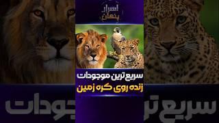 سریع‌ترین موجودات زمین؛ رتبه اول شما رو شوکه می‌کنه! #دانستنی #facts #فکت