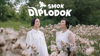 Natalia Przybysz, Paulina Przybysz - Stan pogody (piosenka z filmu „Smok Diplodok”)