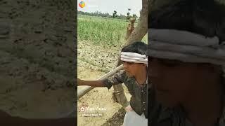Mo sabir ansari
