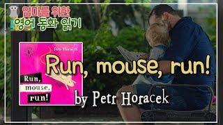 엄마를 위한 영어동화 읽기 #6 I Run, mouse, run! (Petr Horacek 페트르 호라체크)