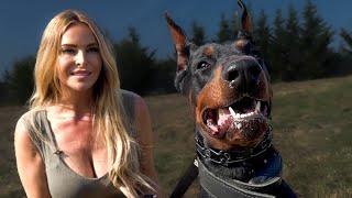 THE DOBERMAN - TRAINED LETHAL PERSONAL PROTECTION DOG