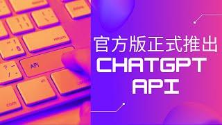 官方版ChatGPT API正式推出 | OpenAI的定价和API访问 | GPT-3.5-TURBO自建聊天机器人ChatBot