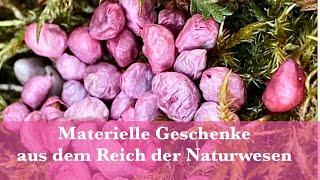 Naturwesen⭐️Wunsch nach "handfesten Beweisen" geht in Erfüllung!