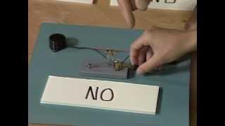 What Are Logic Switches? (Mr. Wizard)