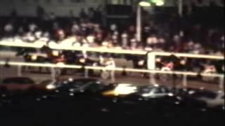 Harness Racing,Harold Park-28/12/1979 (Magic Toliver-I.Jones)