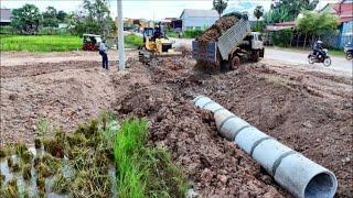 Amazing Bulldozer Quickly Start New PROJECT! Delete Sewer Drainage System by 10-T Dump Truck & Dozer