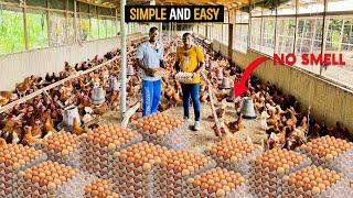 How To Start A SUCCESSFUL Poultry Farm as a BEGINNER In Ghana In 2024 #poultry #poultryfarm