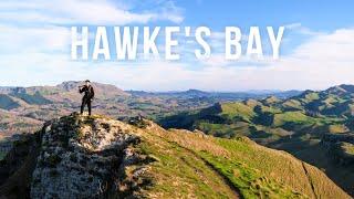 Stunning Te Mata Peak & Pekapeka Wetlands HAWKE'S BAY NEW ZEALAND | NORTH ISLAND NZ TRAVEL VLOG 3/5