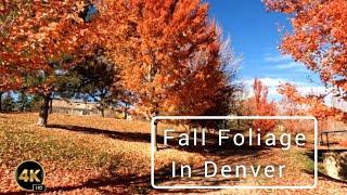 Beautiful#Fall Colors In#Denver-Colorado#FallFoliage George M Wallace park#Autumn@3kidswonderland