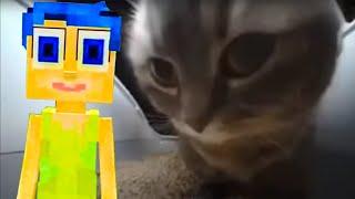 INSIDE OUT 2 In Minecraft! - Chipi Chipi Chapa Chapa (COVER #40)