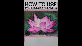 How to use Watercolour Pencils #shorts
