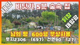 [물건번호2525]태안군 소원면 바닷가 5분거리 남의 밭 500~600평 무상사용 가격싼 집을 소개 합니다, 농사 초보인데 마늘농사 양파농사 박사급으로 지었네요.  귀농 귀촌하여