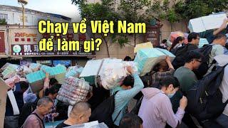 Tiểu thương Trung Quốc chen lấn đổ xô sang Việt Nam từ sớm để làm gì?