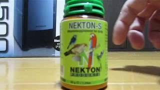 Give vitamin medicine to canary. "NEKTON-S"【 Emotional education for my son # 25 】カナリア飼育