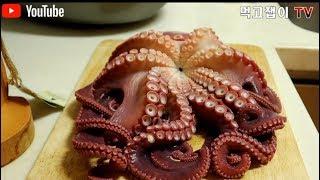 #23 참문어숙성회/ 참문어 손질부터 회뜨는방법/ octopus ripening sasimi