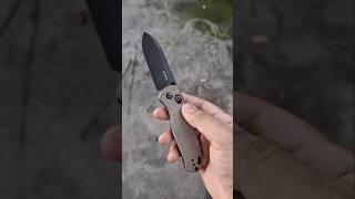 Kizer Drop Bear Micrata Handle #edc #everydaycarrygear #knifecommunity #gear #tools