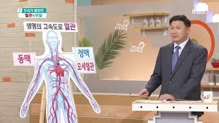 혈관 자기 소개서(길이, 하는 일, 속도) [무엇이든 물어보세요] 20190910