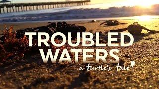 Troubled Waters: A Turtle's Tale