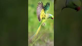 #Haqeeqat Se Bhare Kahani aur kisse #allah#short Islamic story#voice by@Qadir kalhoro