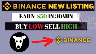 Binance New Listing Coin Strategy - Make $50 in 30min Using DOGS COIN