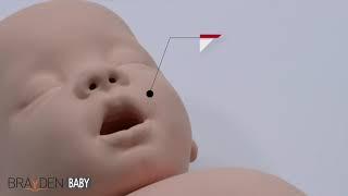 Brayden Baby - Brayden Manikin for Infant CPR training