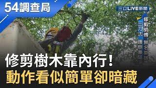 修剪樹木靠內行！師傅護樹兼降溫 動作看似簡單卻暗藏..　｜記者華舜嘉 趙國瑞│【54調查局】20190920│三立新聞台