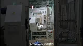 Fully automatic paper cup packing machine box machine