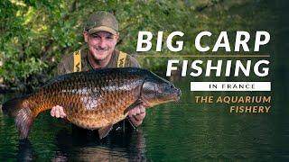 BIG CARP FISHING IN FRANCE! Catching carp at The Aquarium Carp Fishery | Mainline Baits Carp Fishing