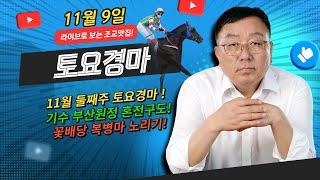 11월9일 토요경마 맛있는 꽃배당 복병마를 노리자 !