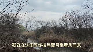 偶然拐进一条小路以为没路走了却在土坡后发现另一片天地