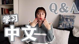 The hardest part about learning Chinese is.....?  | Q&A ft. LTL language school